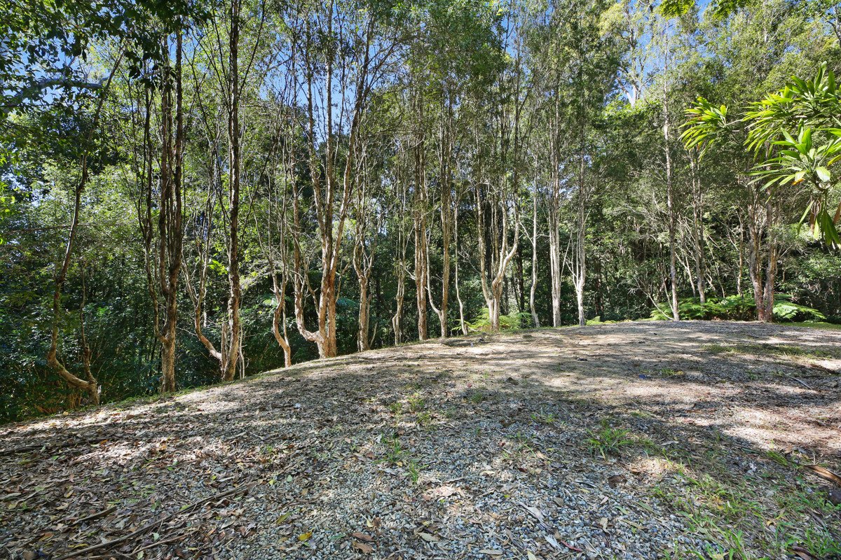 47 Bains Road Currumbin Valley 31