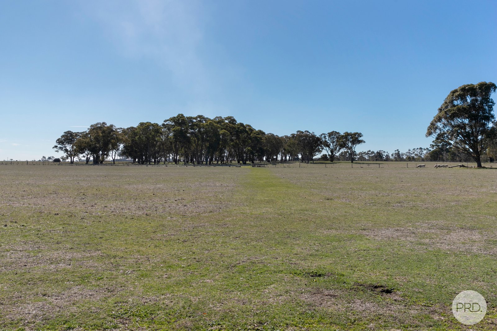 47 Barbys Road CRESWICK 17