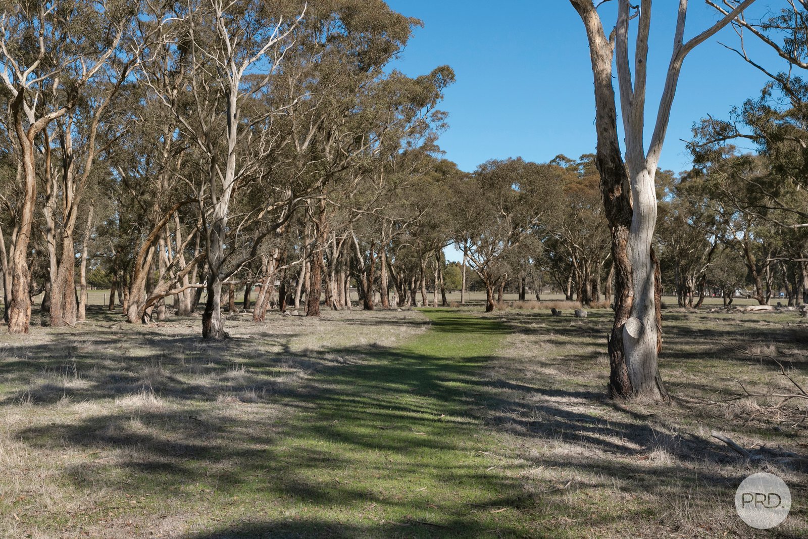 47 Barbys Road CRESWICK 20