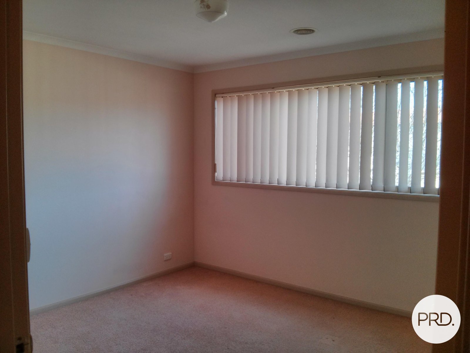 47 Domain Street PALMERSTON 12