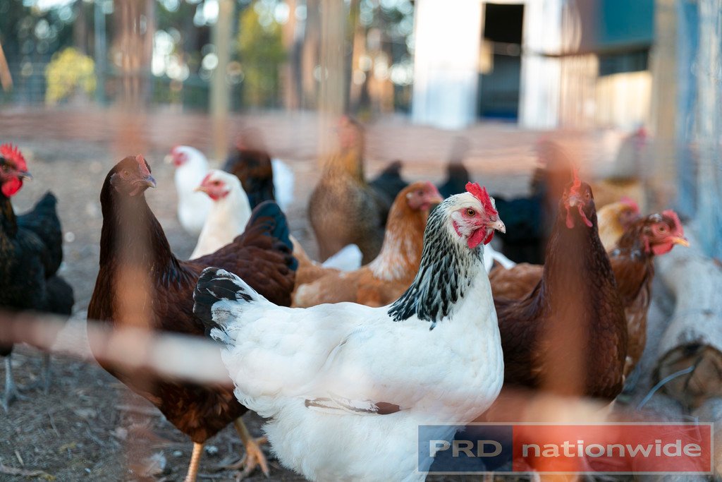 47 Eaglehawk Road LAL LAL 25