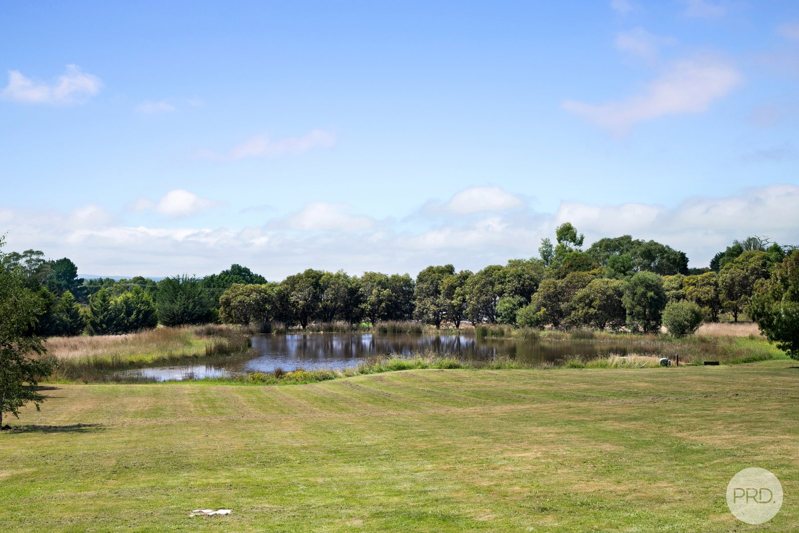 47 Fay Drive WINTER VALLEY 22