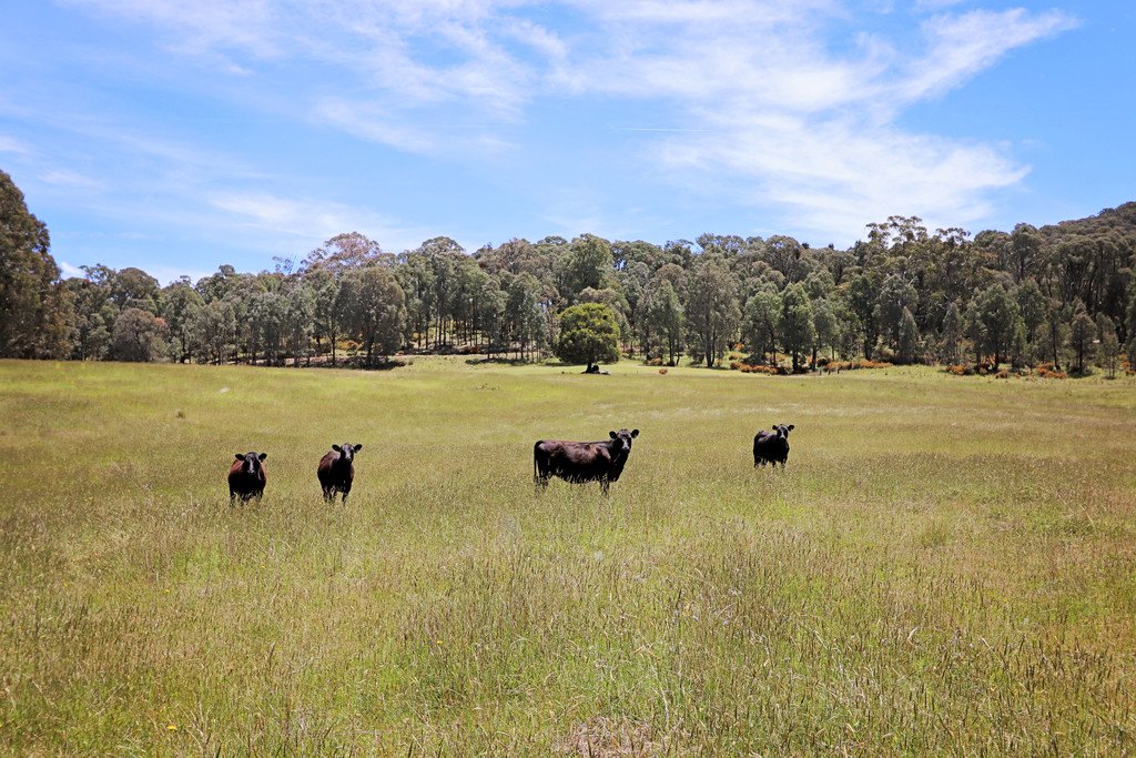 47 Fox Lane TUMBARUMBA 2