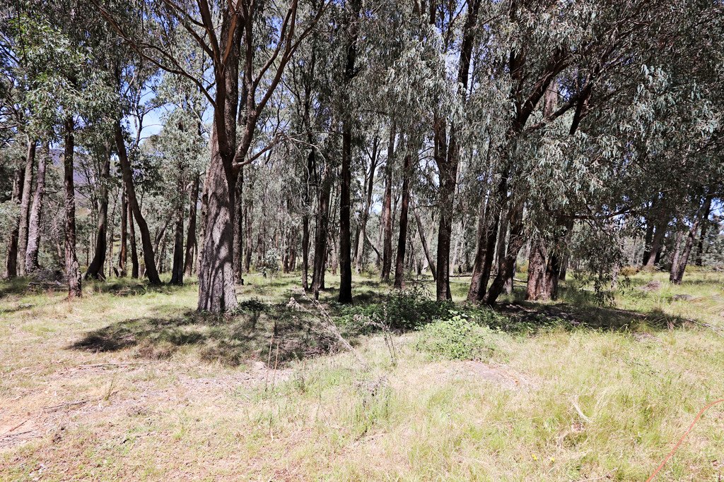 47 Fox Lane TUMBARUMBA 3