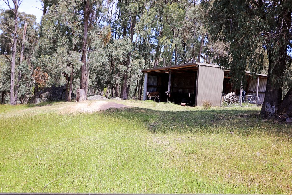 47 Fox Lane TUMBARUMBA 11