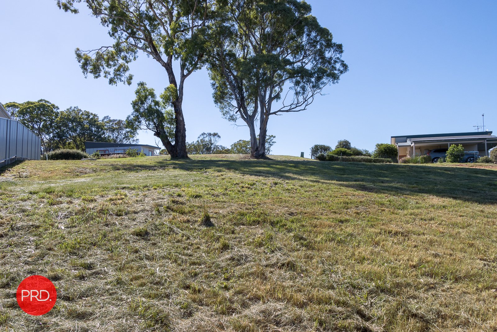 47 Goulburn Street COLLECTOR 6