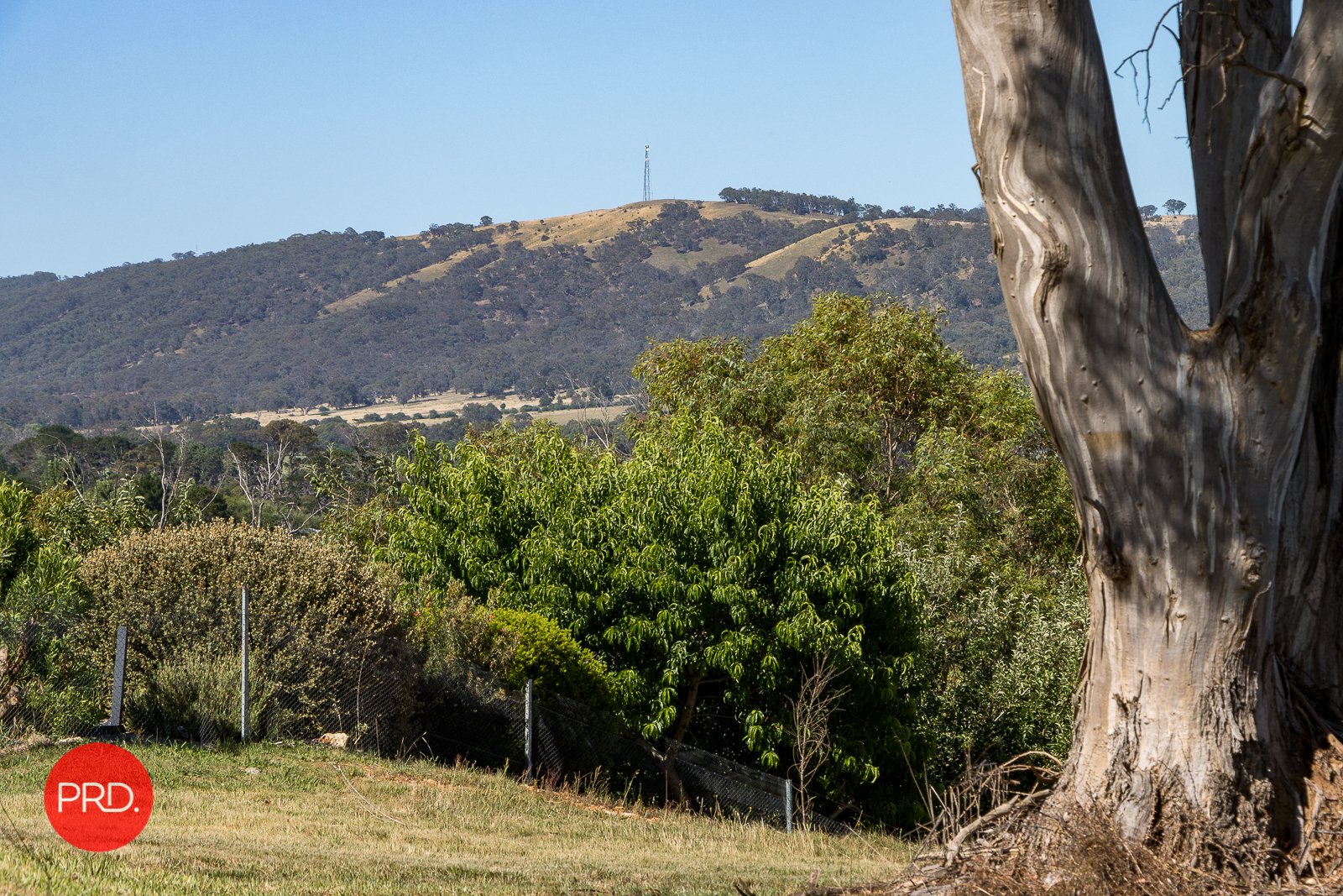 47 Goulburn Street COLLECTOR 12