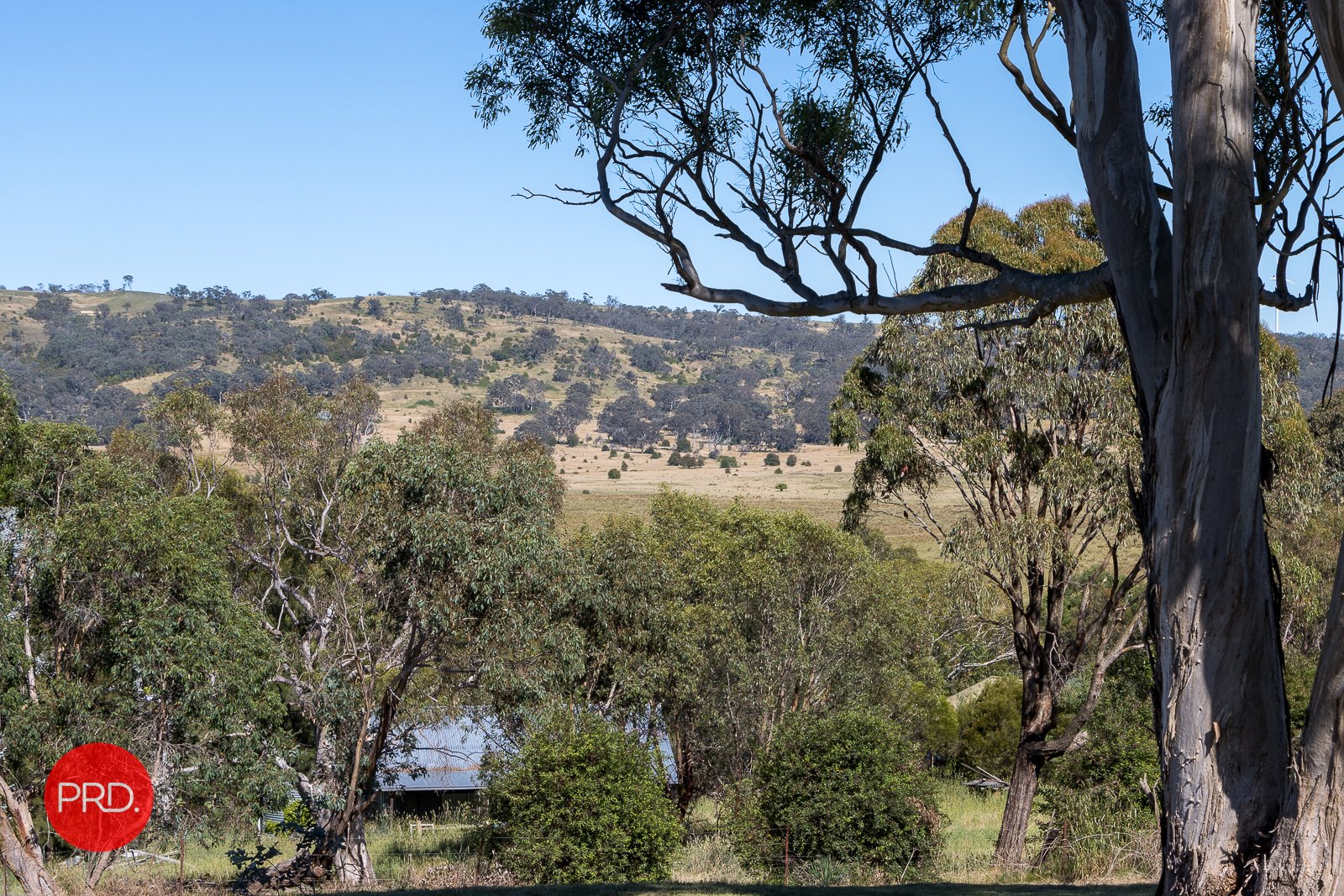 47 Goulburn Street COLLECTOR 14