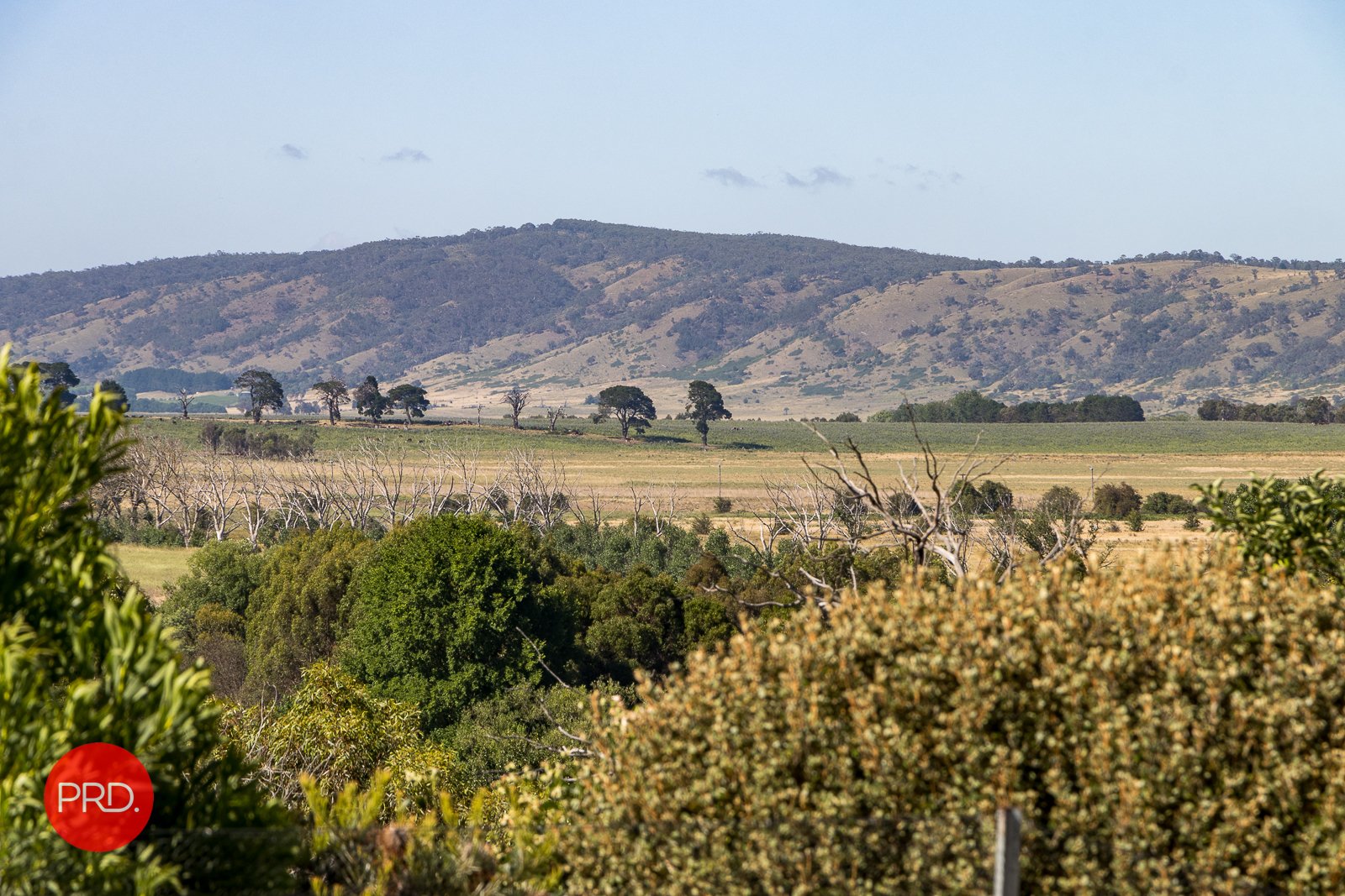 47 Goulburn Street COLLECTOR 15