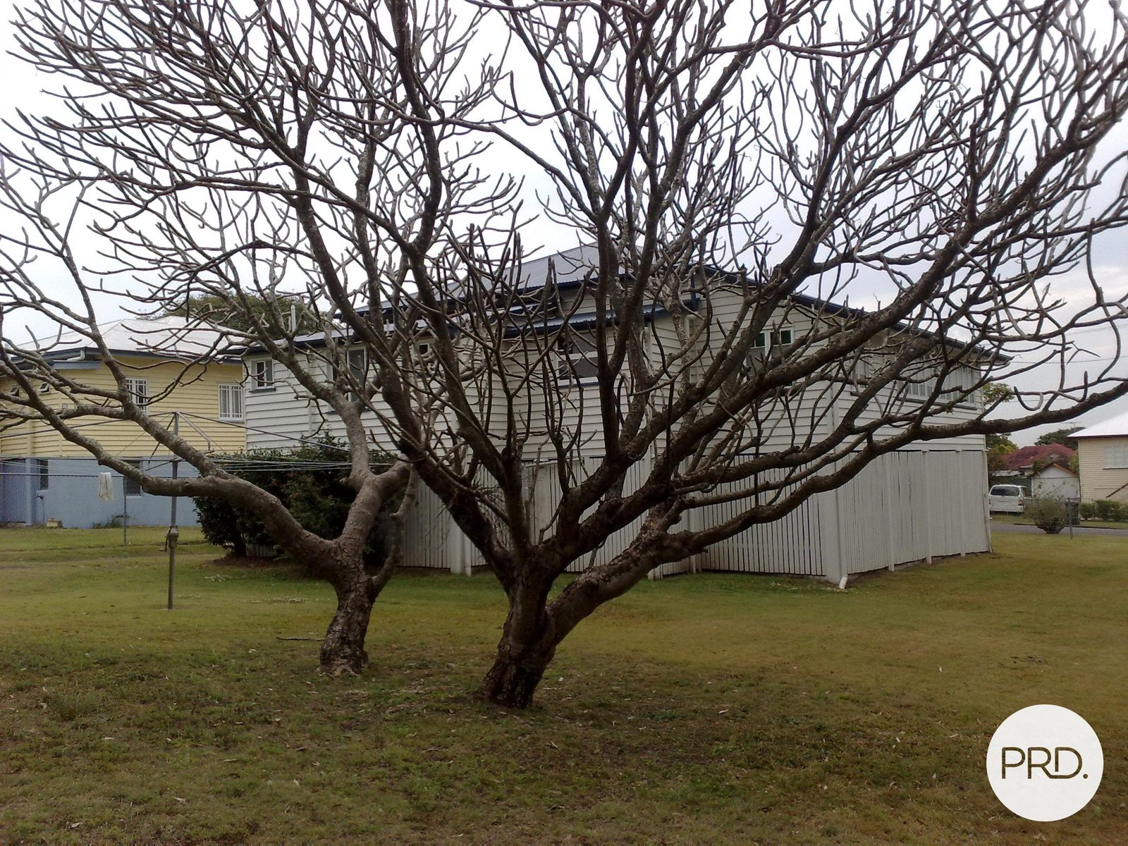 47 High Street GEEBUNG 11