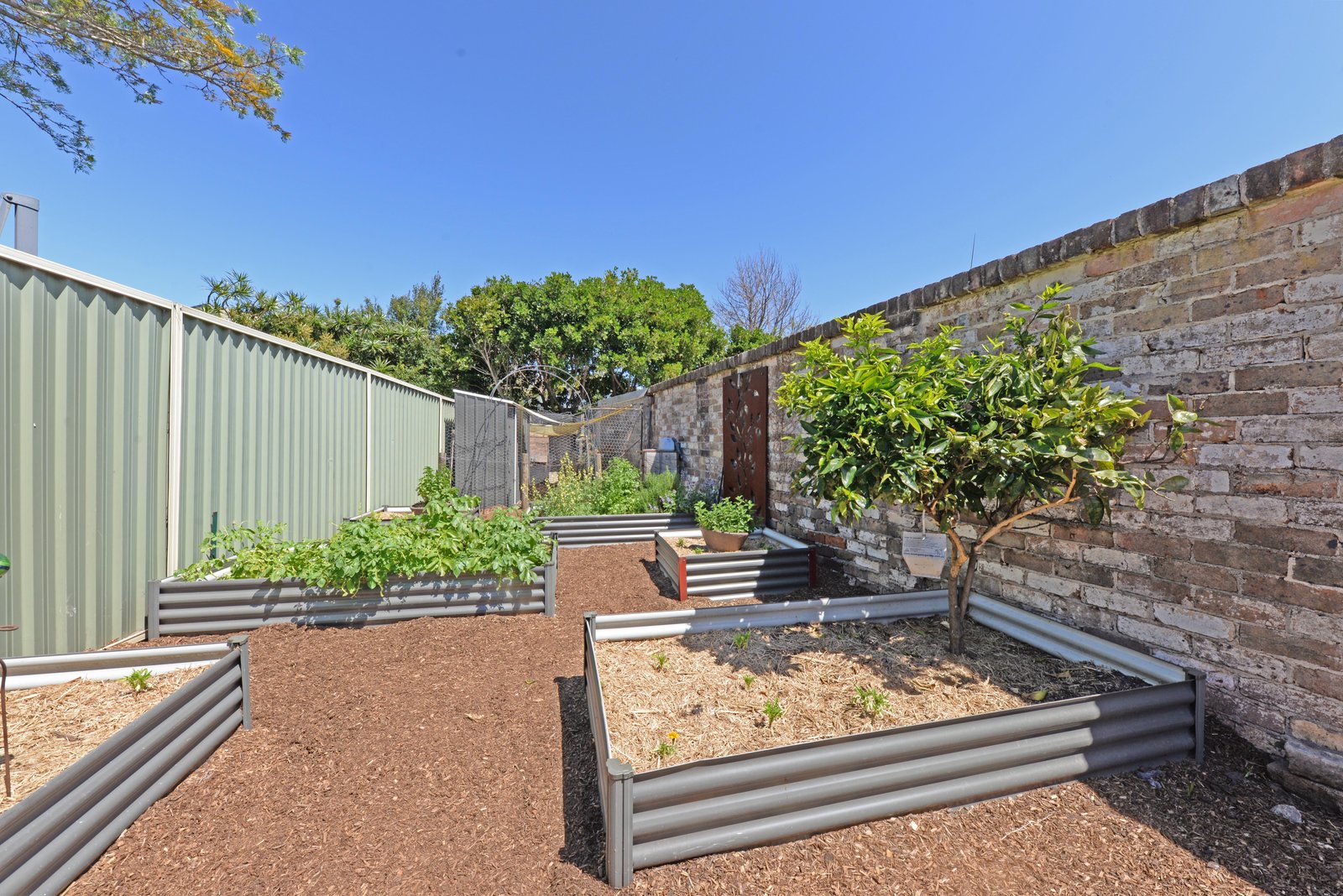 47 Hincks Street KINGSFORD 13