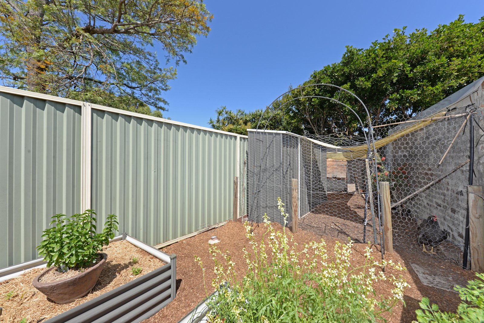 47 Hincks Street KINGSFORD 14