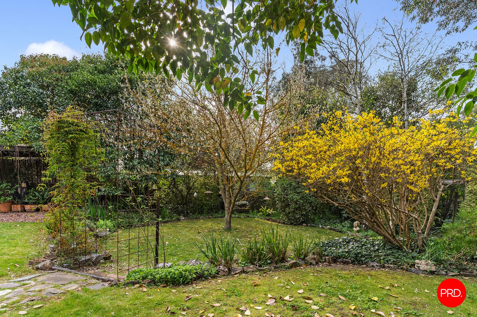 47 Hunter Street CASTLEMAINE 17