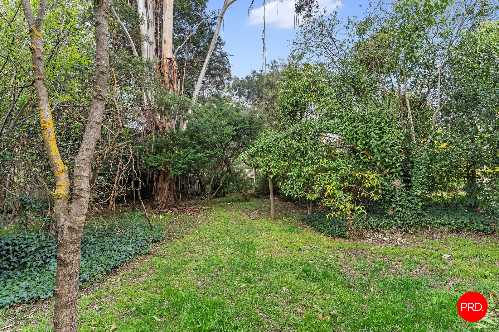 47 Hunter Street CASTLEMAINE 19