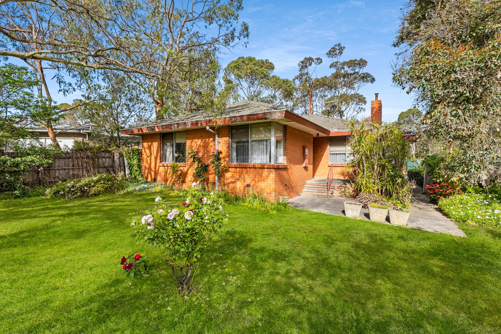 Gallery: 47 Kennedy Road