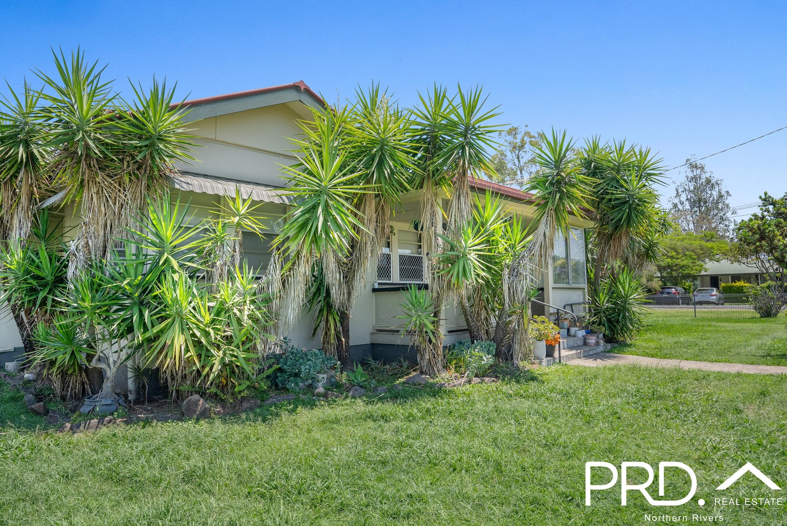 47 Lennox Street CASINO 20