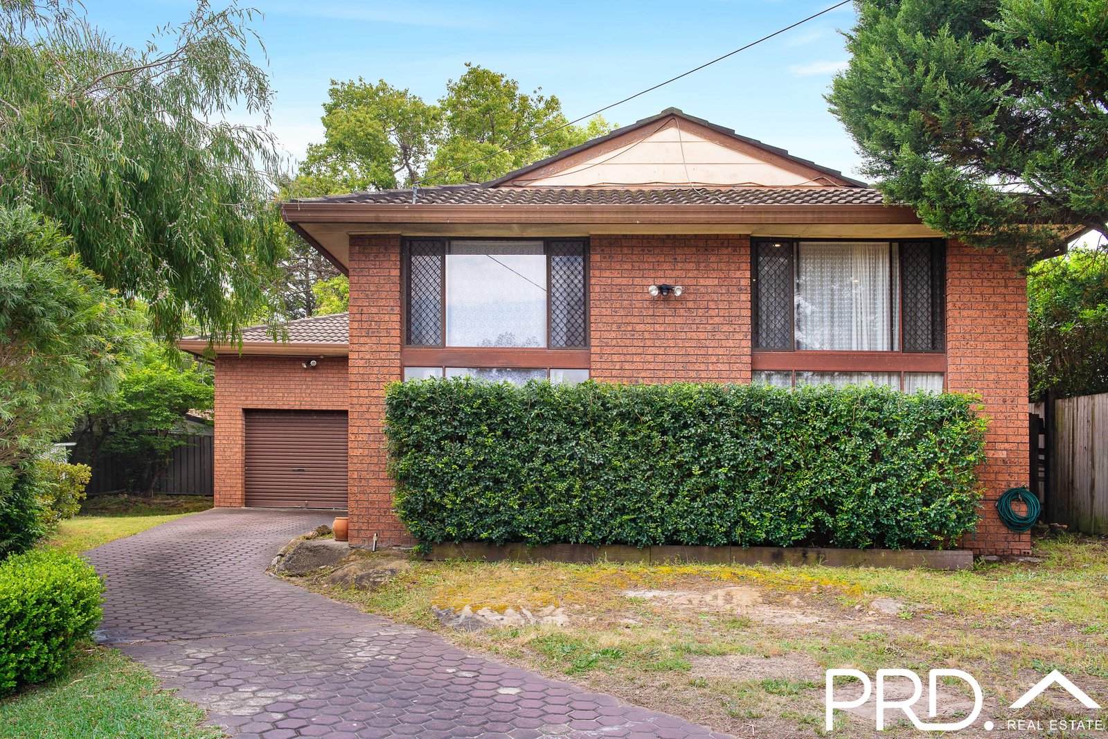 47 Matthews Avenue EAST HILLS 1