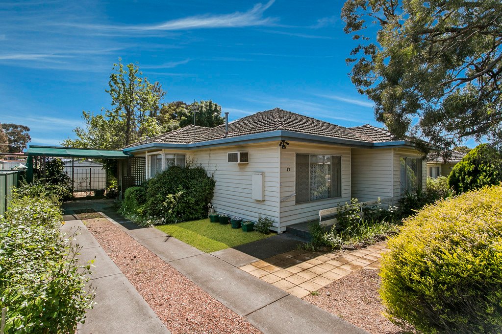 47 Nelson Street CALIFORNIA GULLY 1