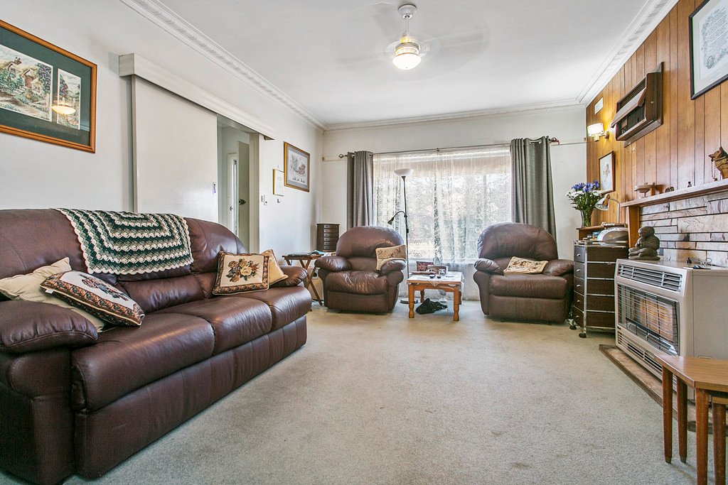 47 Nelson Street CALIFORNIA GULLY 2