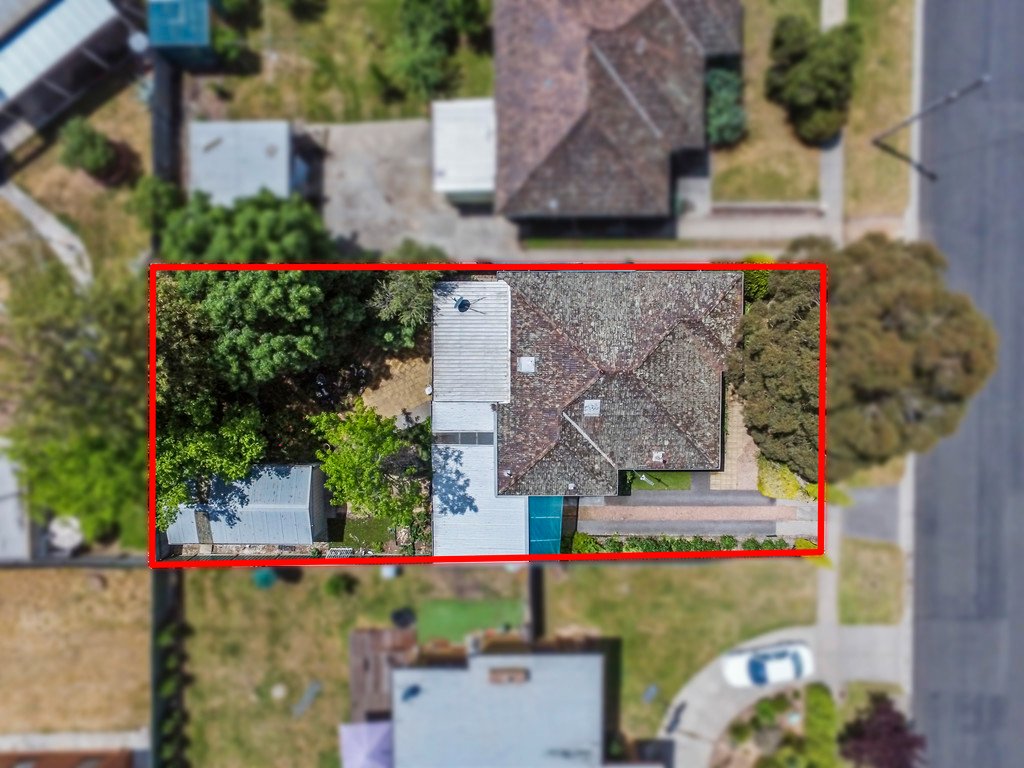 47 Nelson Street CALIFORNIA GULLY 11