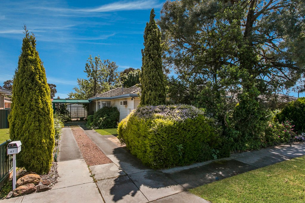47 Nelson Street CALIFORNIA GULLY 12
