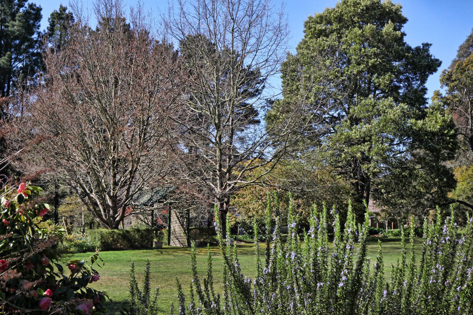 Real Estate and Property in 47 Royle Court, Woodend, VIC