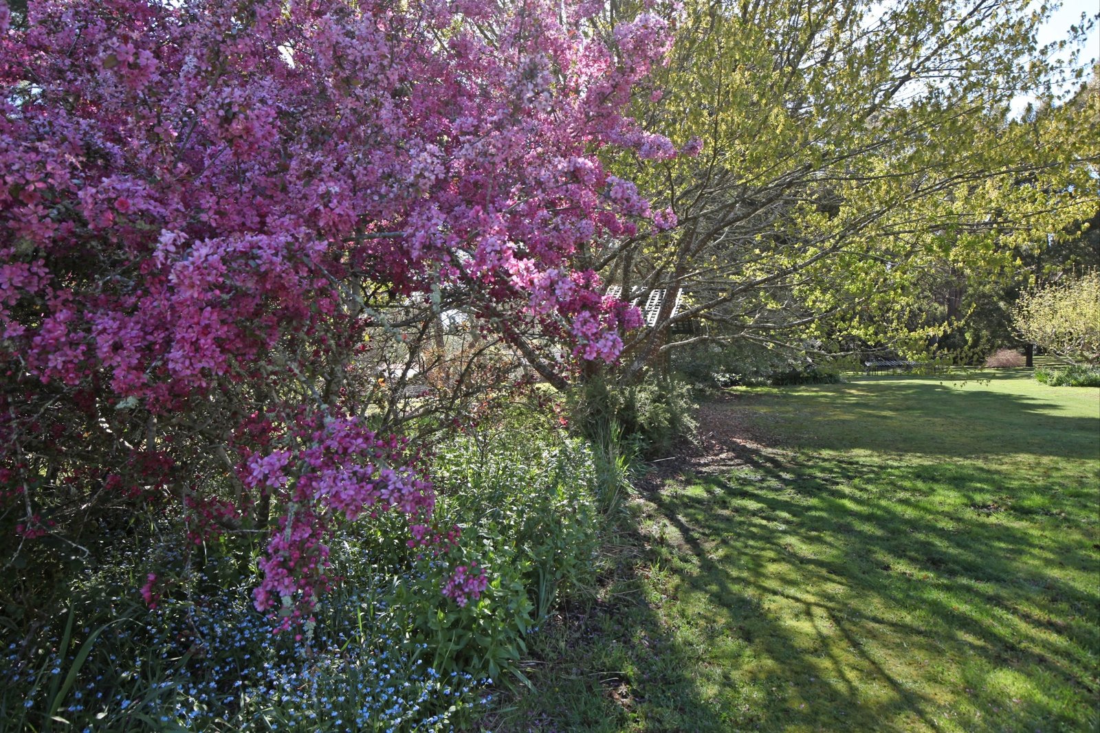 Real Estate and Property in 47 Royle Court, Woodend, VIC