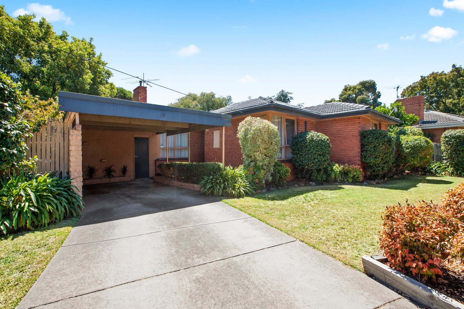 Gallery: 47 Stuart Avenue