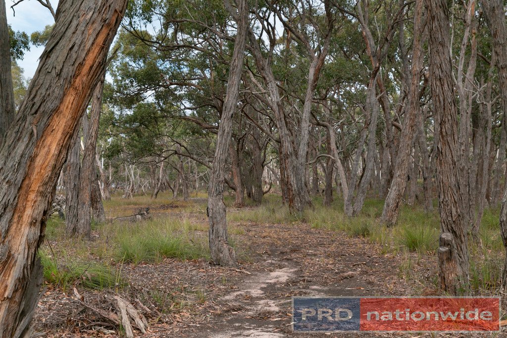 47 Swanson Road DEREEL 16