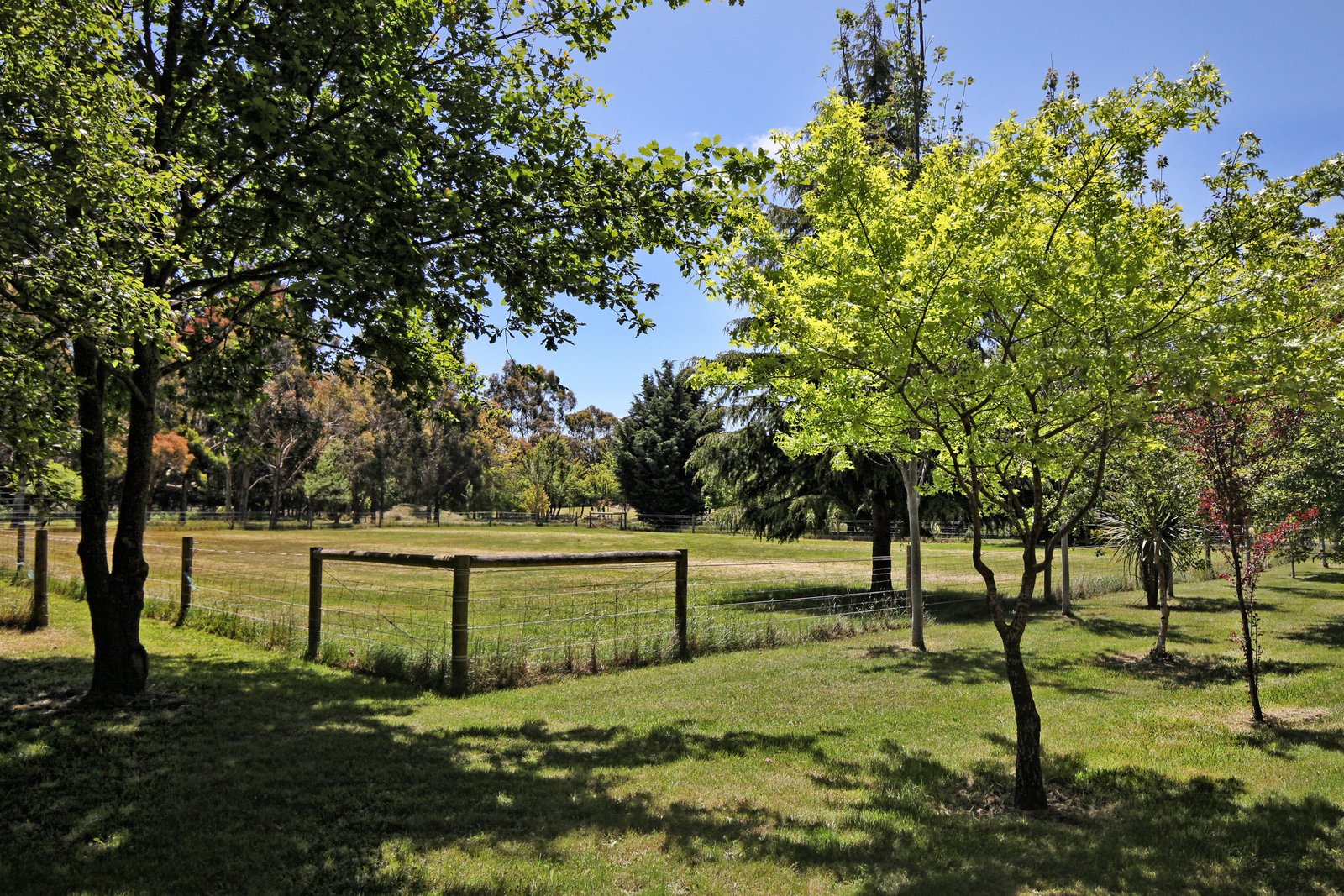 Real Estate and Property in 47 Whitelodge Road, Woodend, VIC