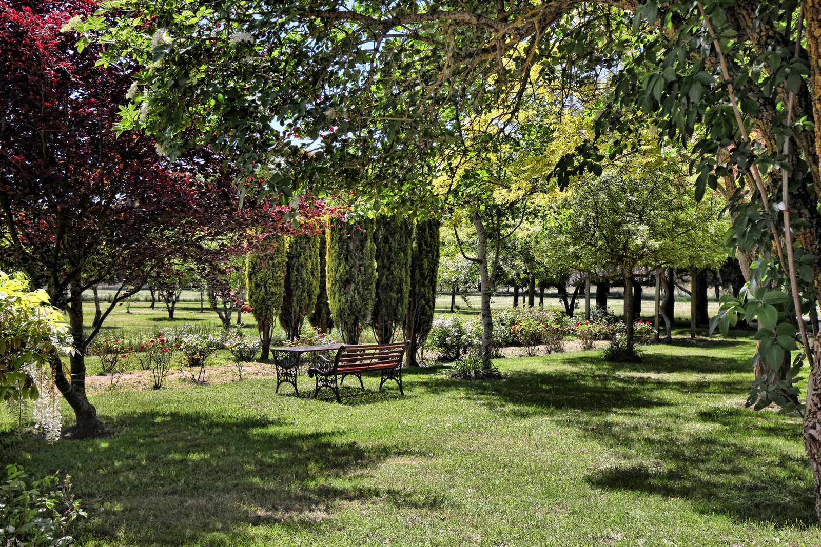 Real Estate and Property in 47 Whitelodge Road, Woodend, VIC