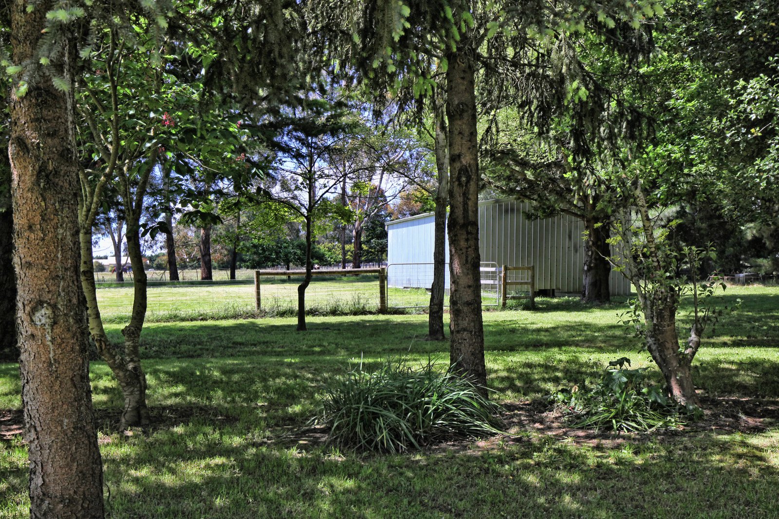 Real Estate and Property in 47 Whitelodge Road, Woodend, VIC