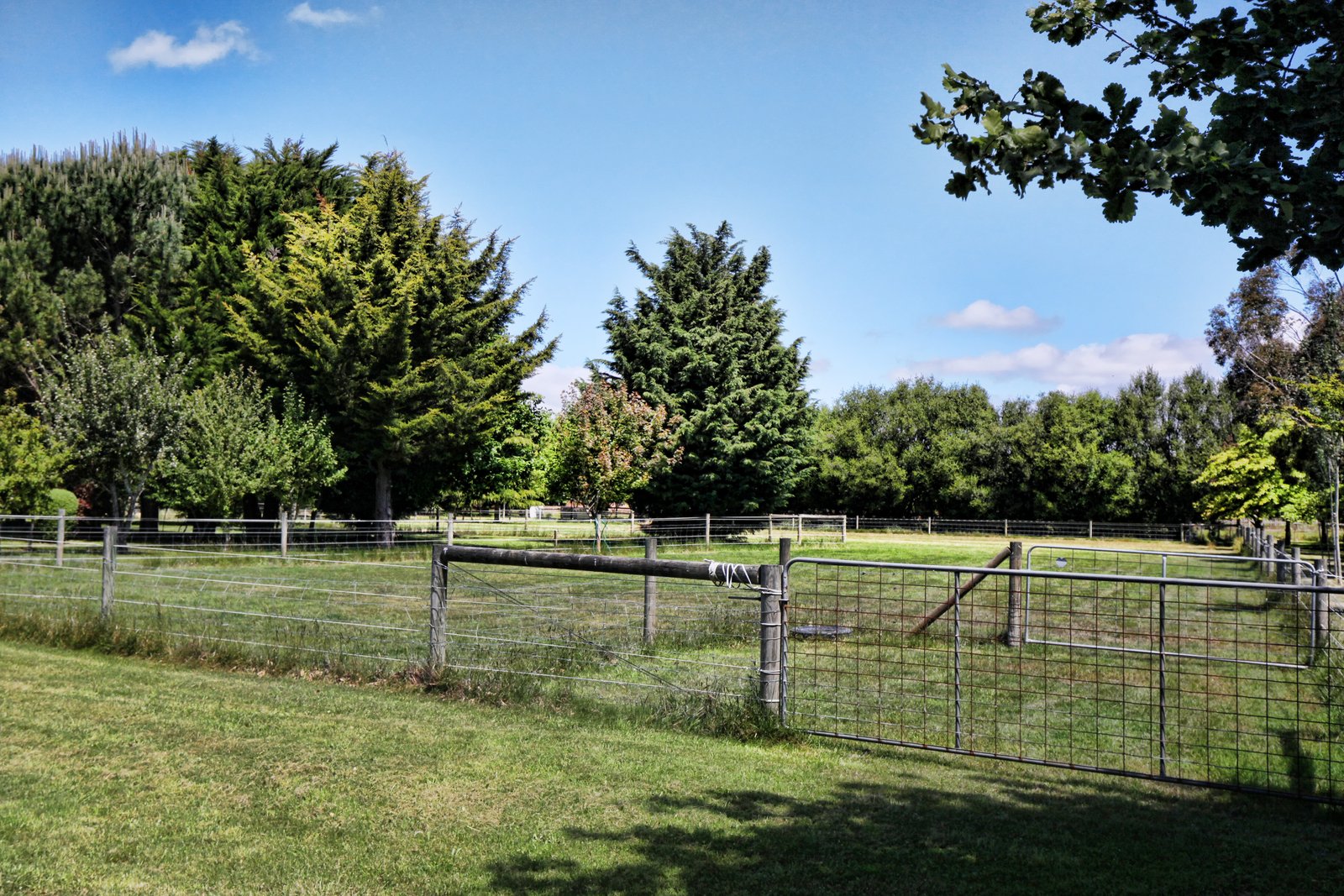 Real Estate and Property in 47 Whitelodge Road, Woodend, VIC