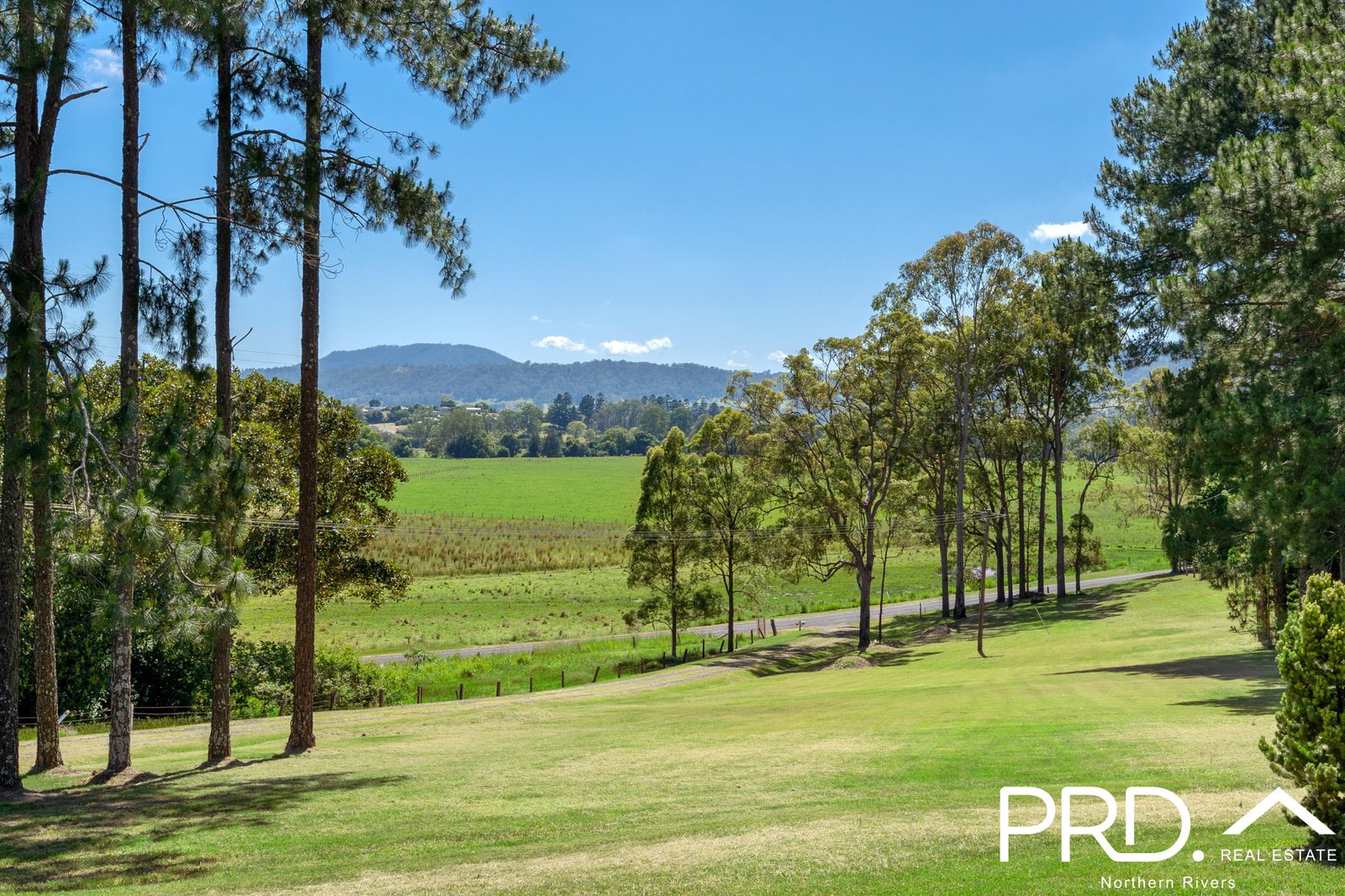 47 Wiangaree Back Road GENEVA 4