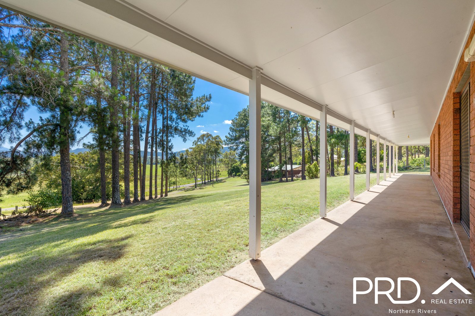 47 Wiangaree Back Road GENEVA 5