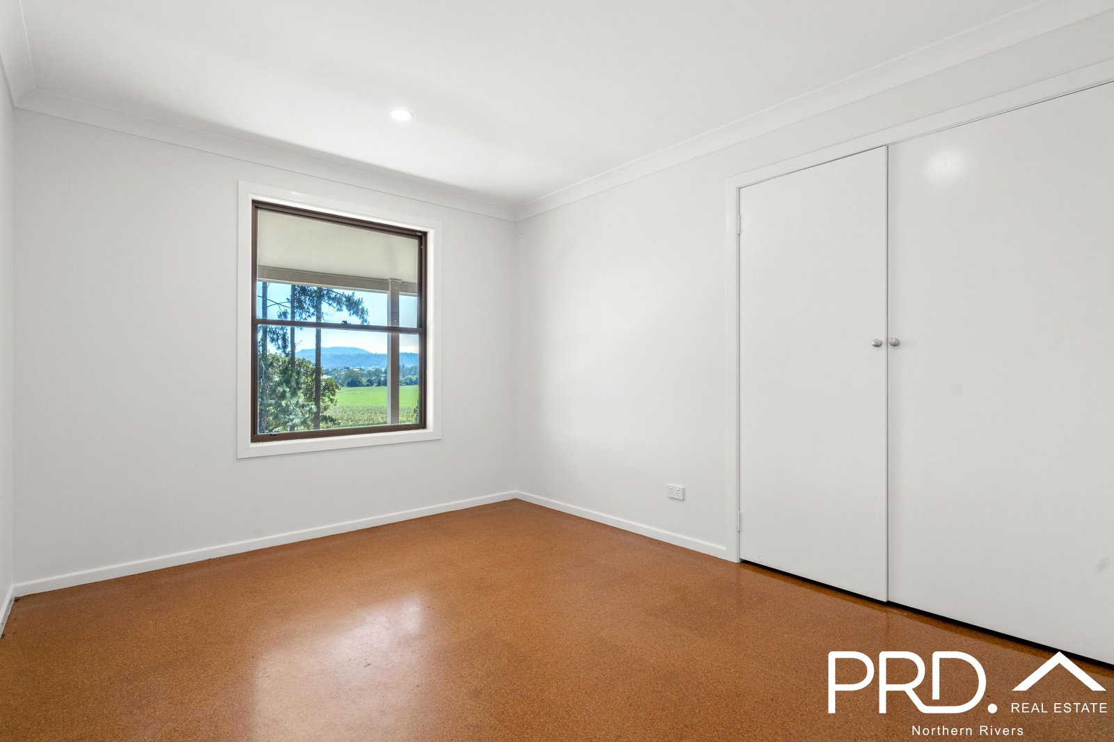 47 Wiangaree Back Road GENEVA 10