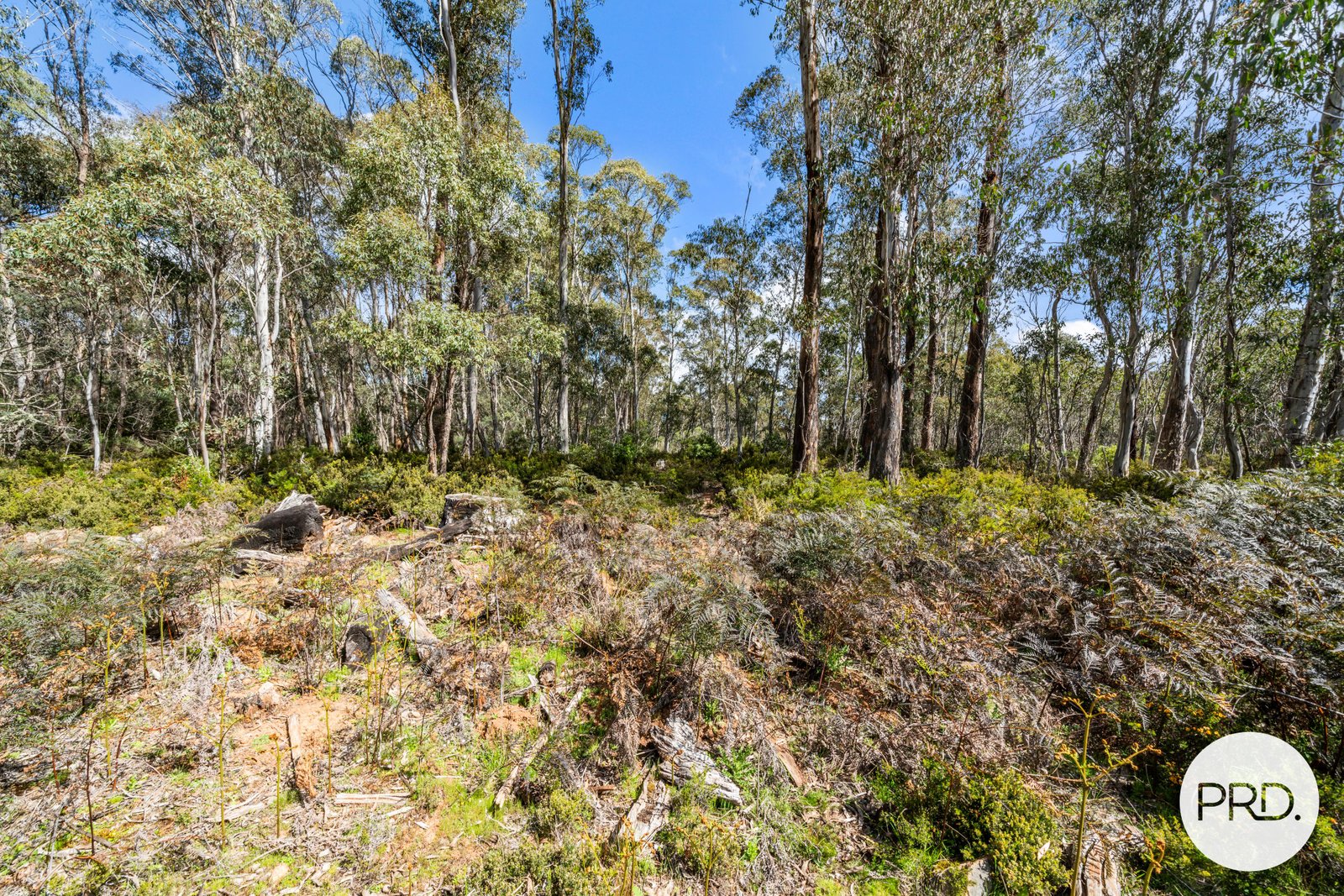 47 Woodwards Bay Road BRADYS LAKE 24