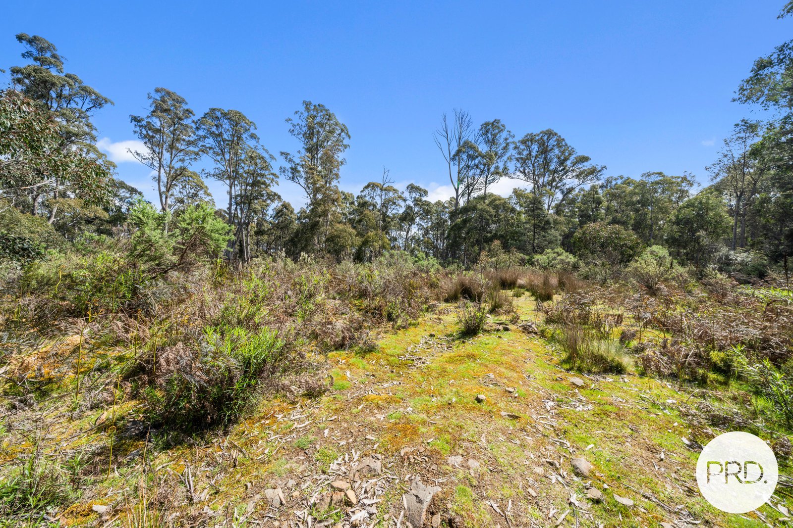 47 Woodwards Bay Road BRADYS LAKE 26