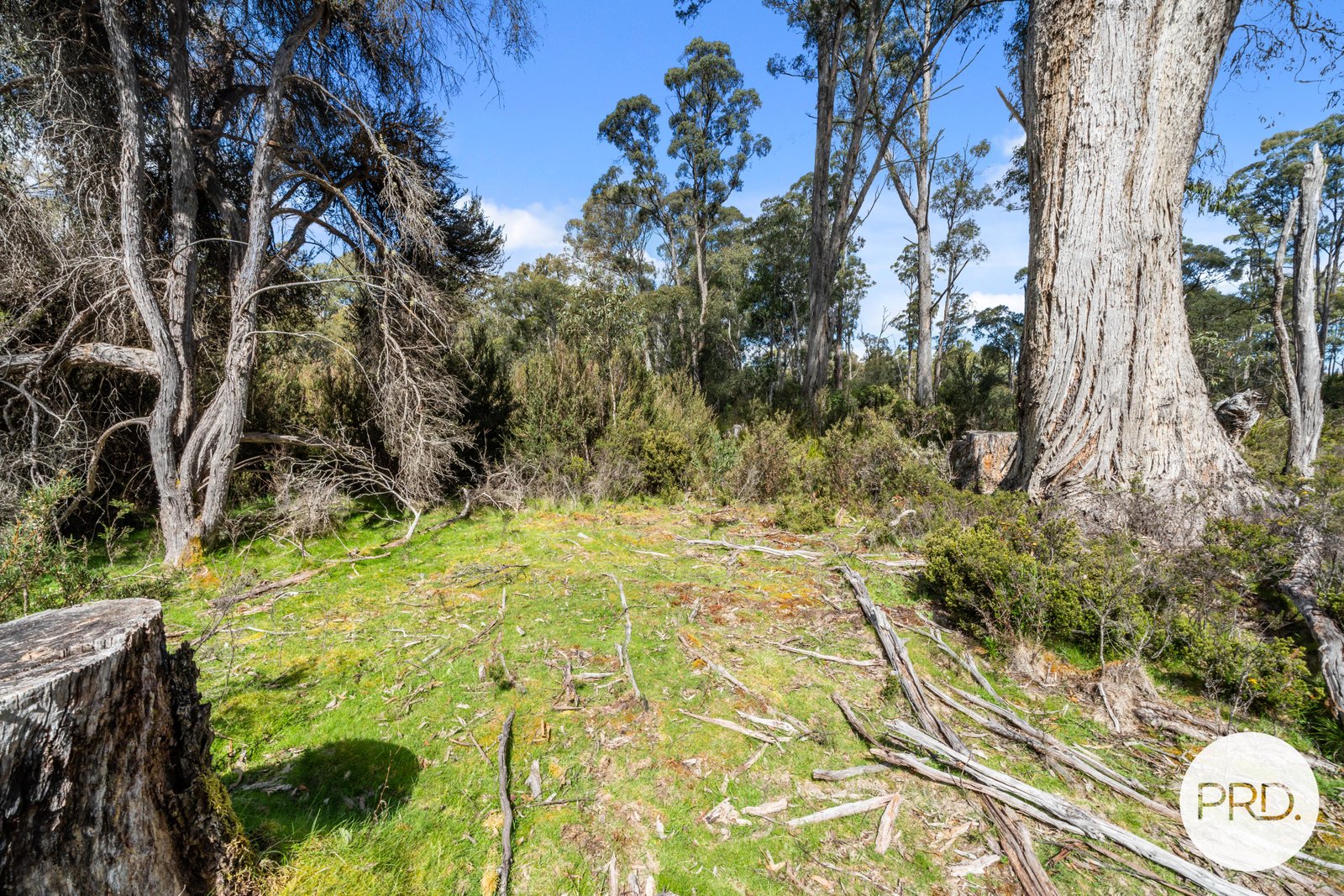 47 Woodwards Bay Road BRADYS LAKE 27