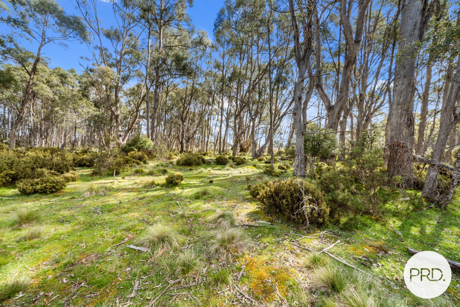 47 Woodwards Bay Road BRADYS LAKE 28