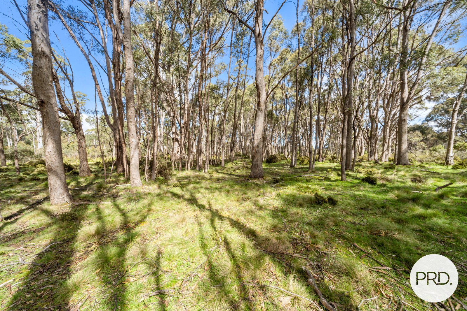 47 Woodwards Bay Road BRADYS LAKE 29