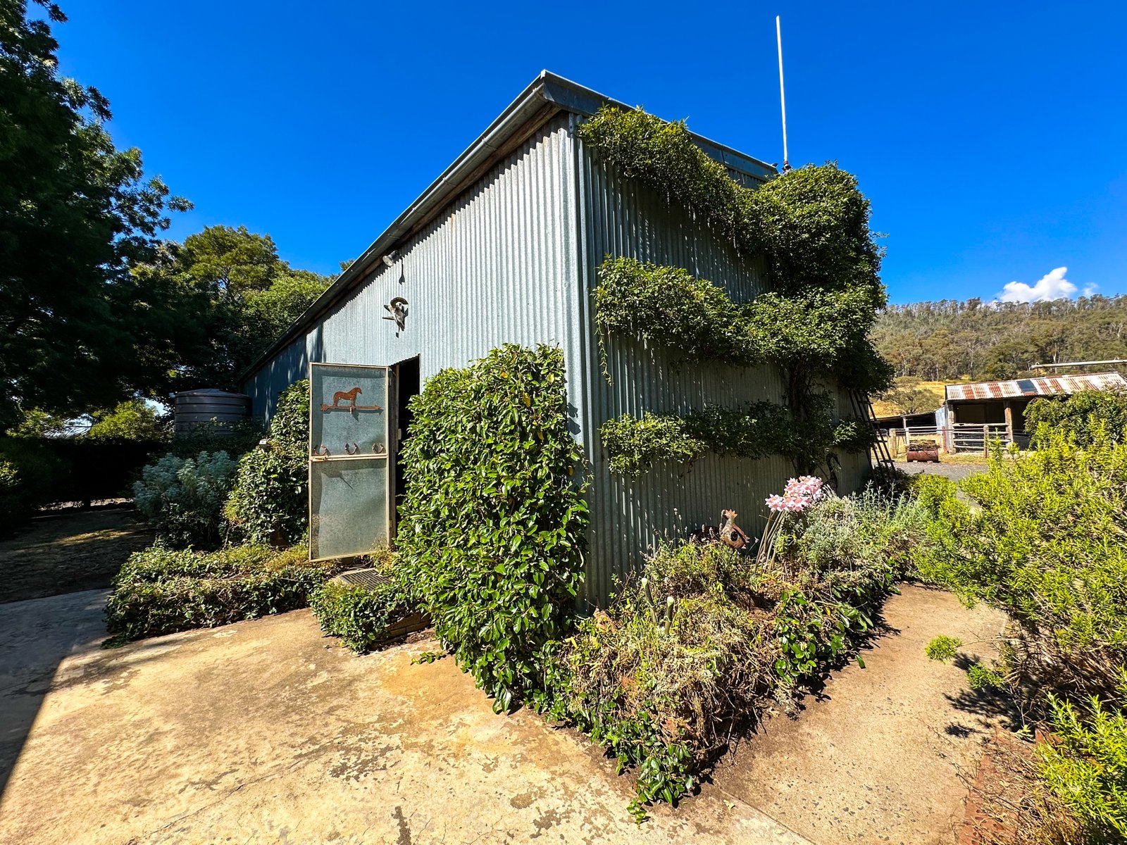 470 Batlow Road TUMBARUMBA 4