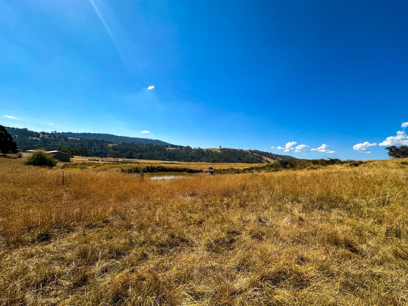 470 Batlow Road TUMBARUMBA 24