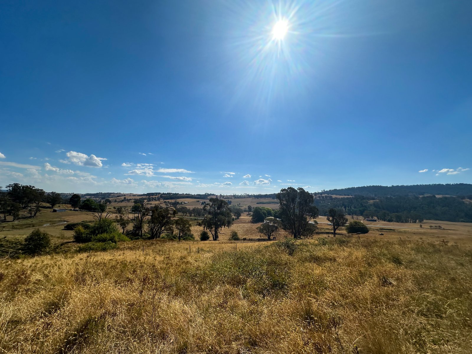 470 Batlow Road TUMBARUMBA 25