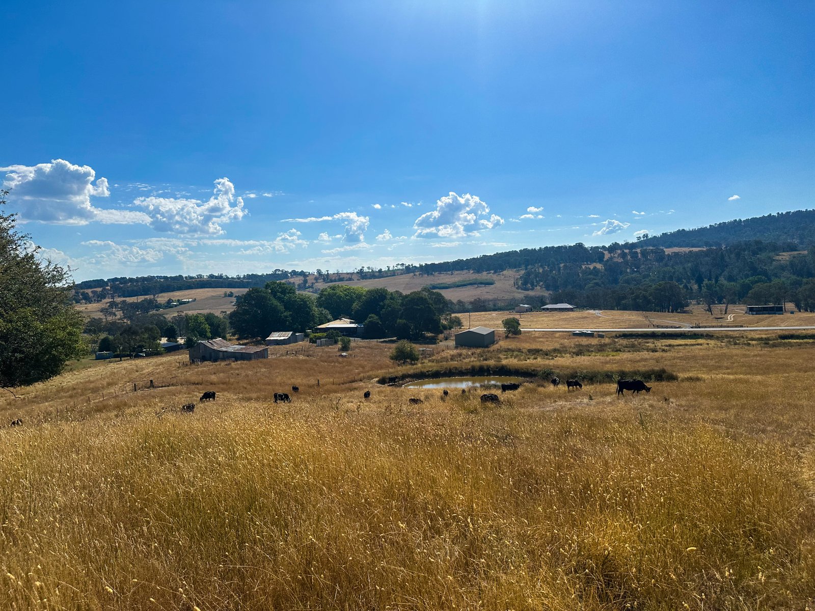 470 Batlow Road TUMBARUMBA 26