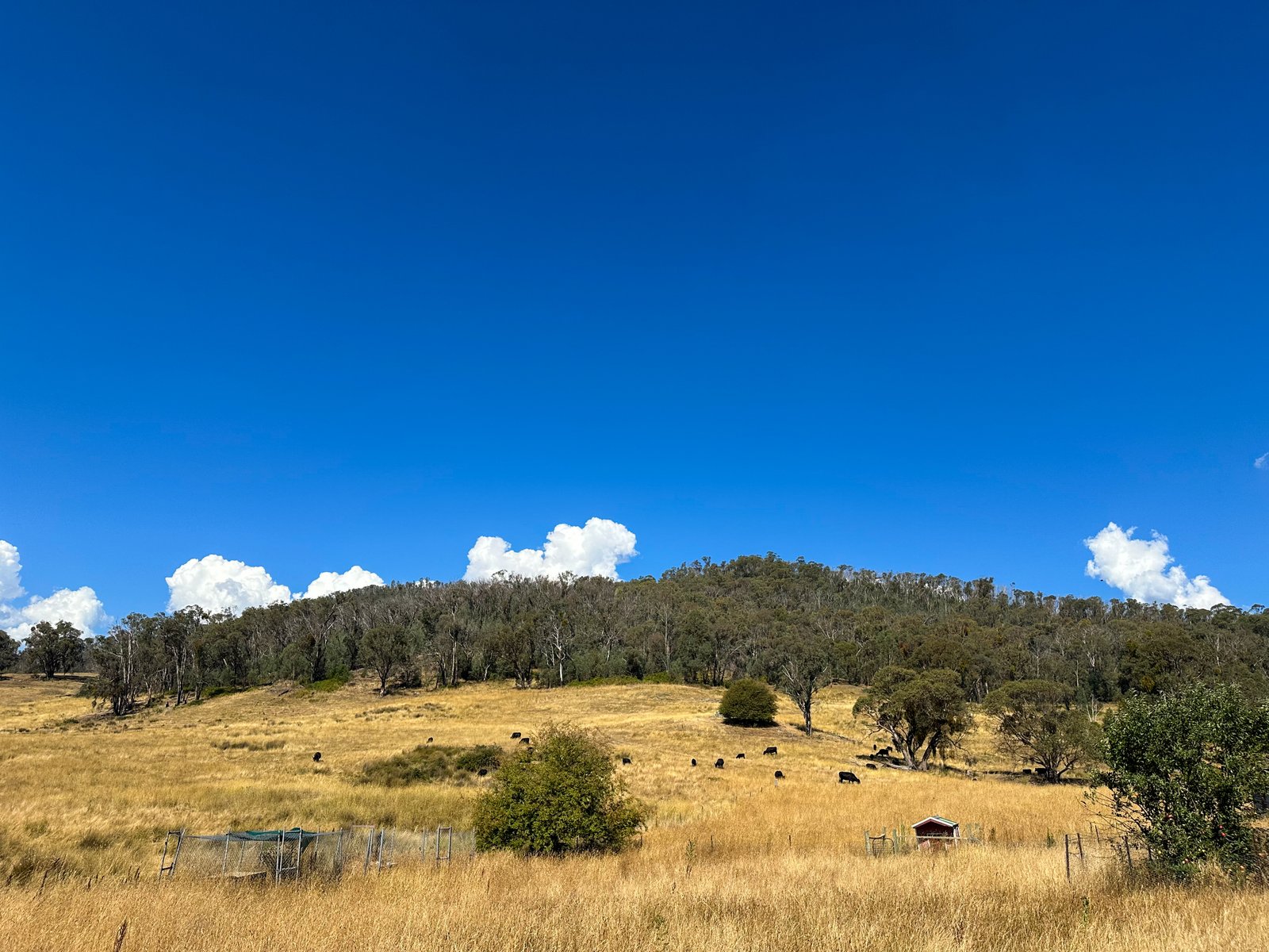 470 Batlow Road TUMBARUMBA 27