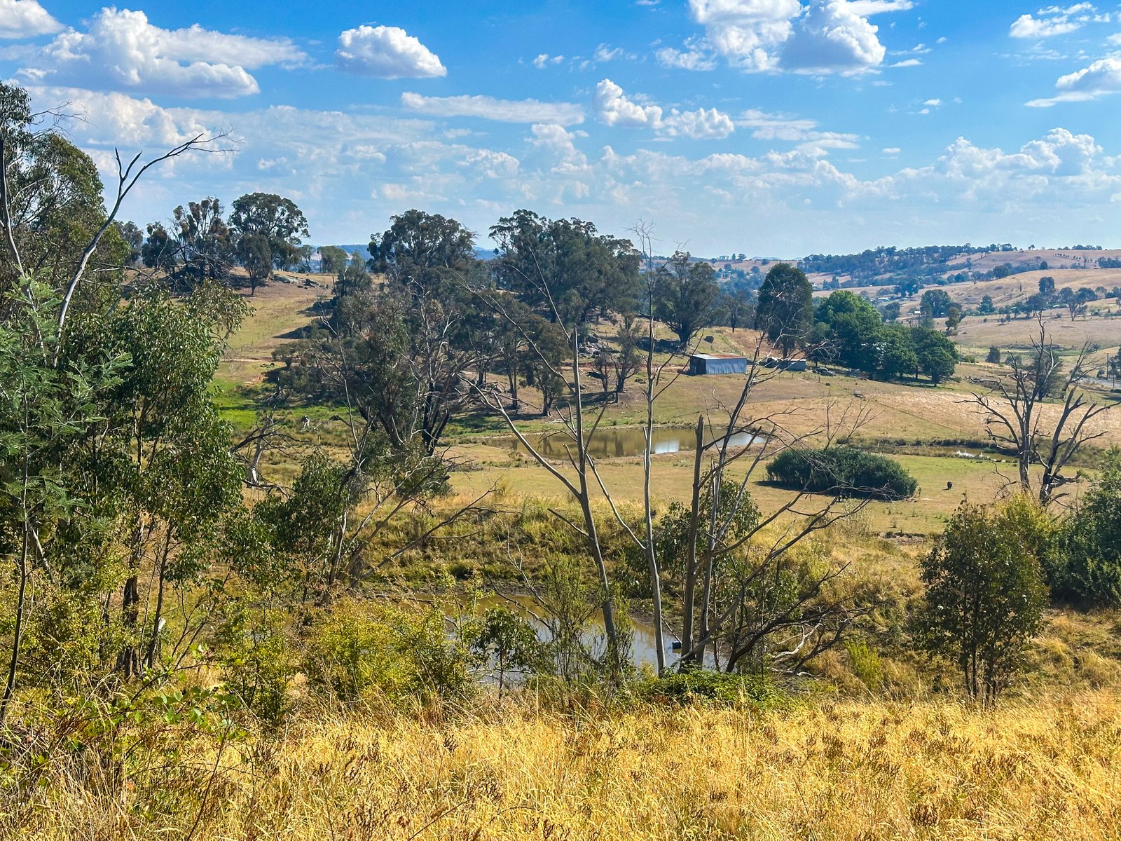 470 Batlow Road TUMBARUMBA 28
