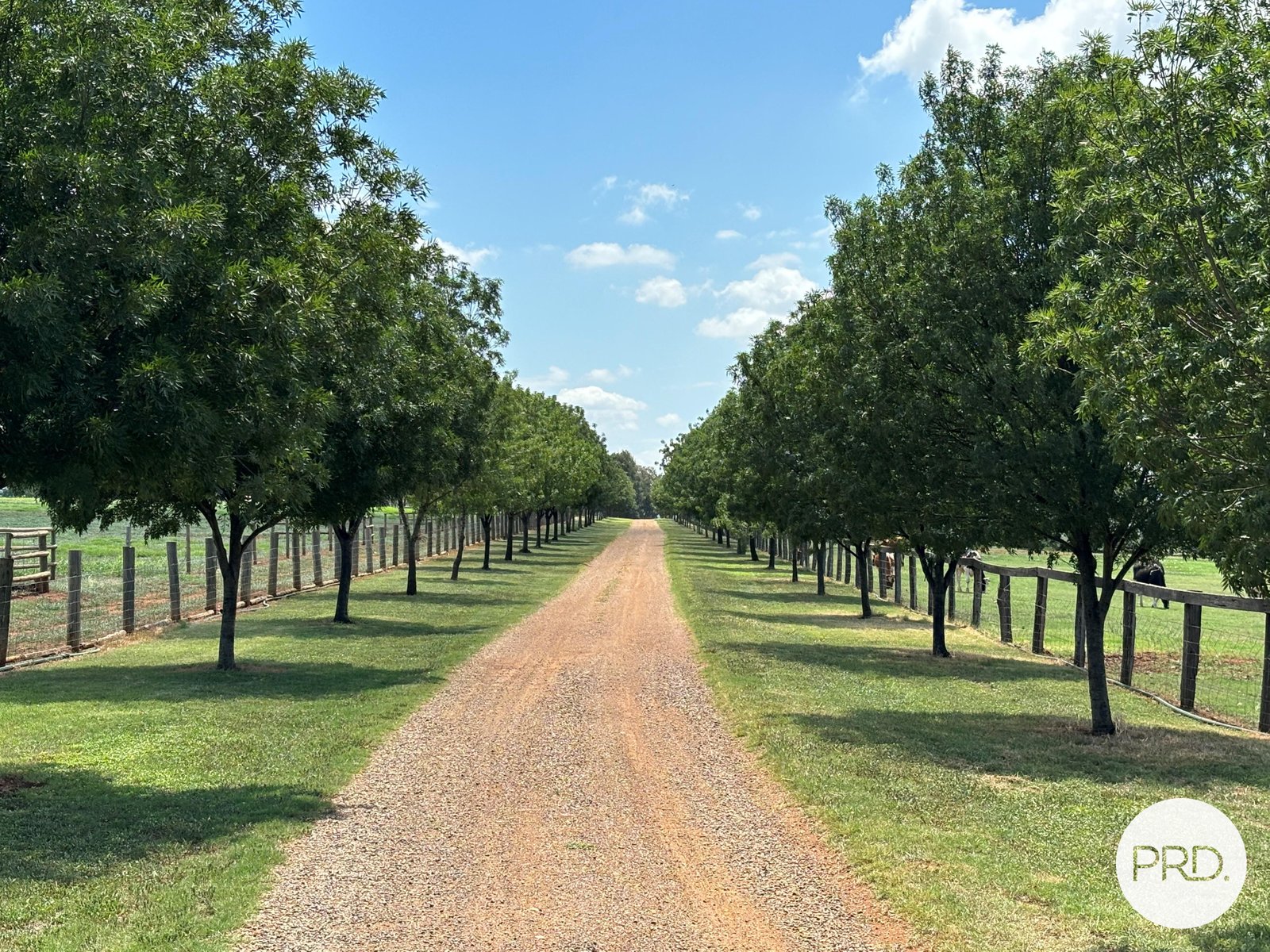 470 Dalswinton Road DENMAN 1