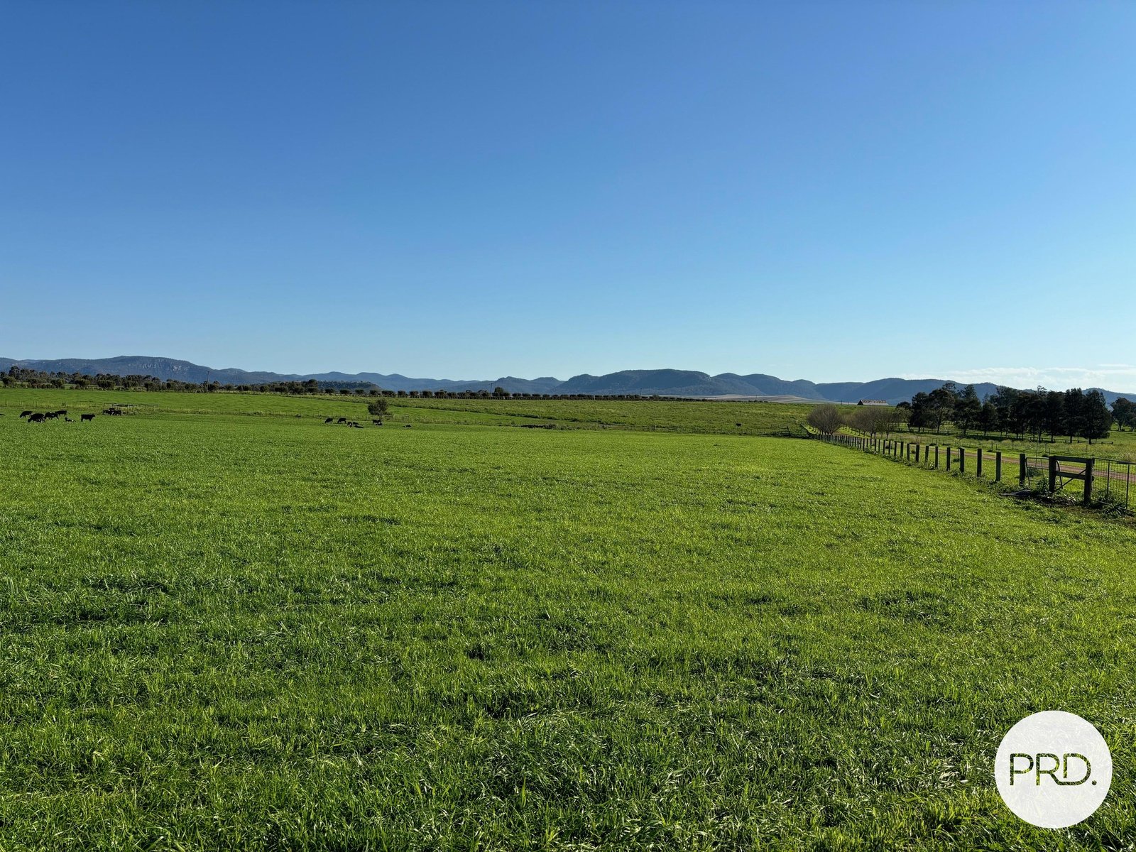 470 Dalswinton Road DENMAN 4