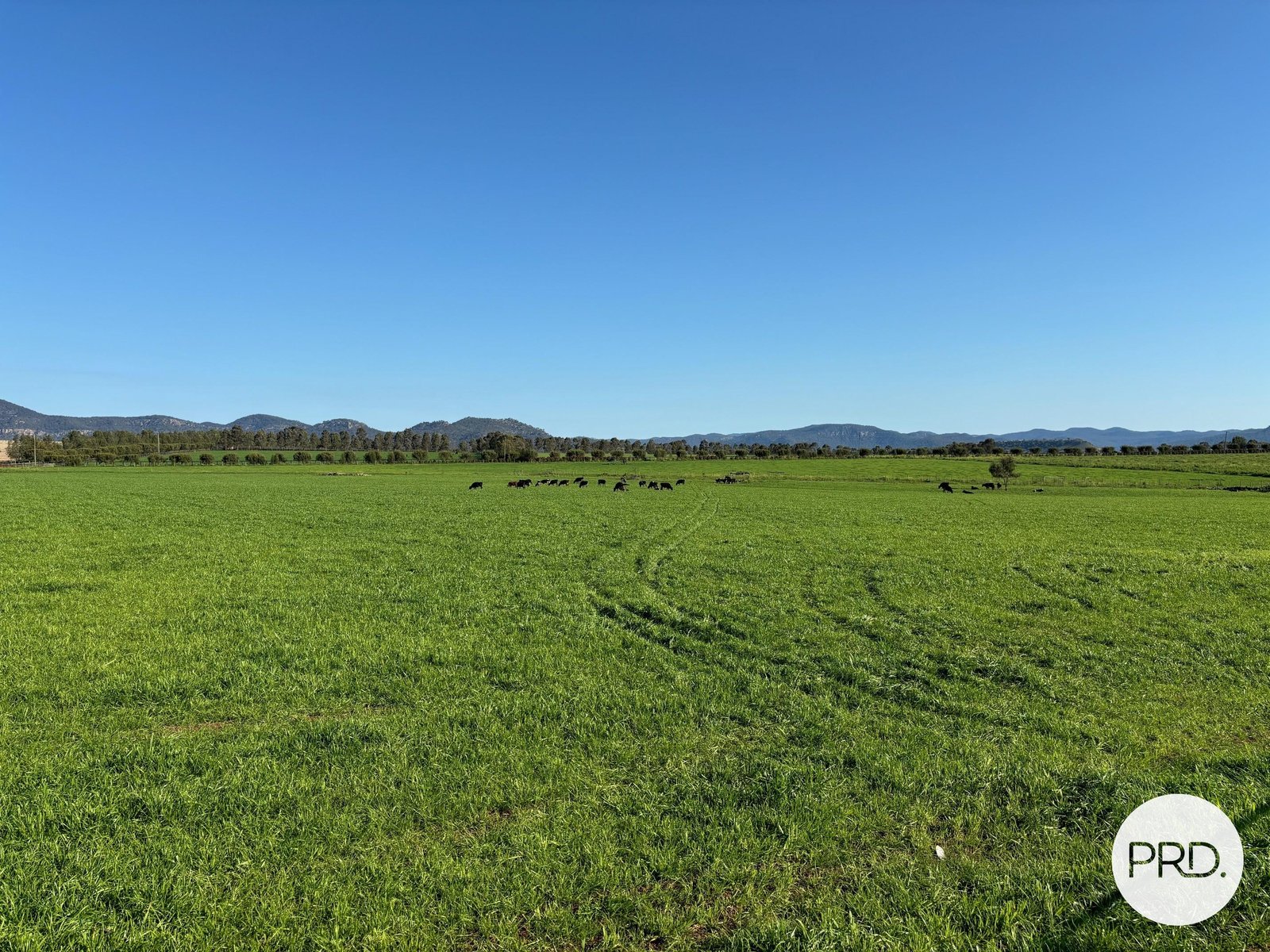 470 Dalswinton Road DENMAN 5